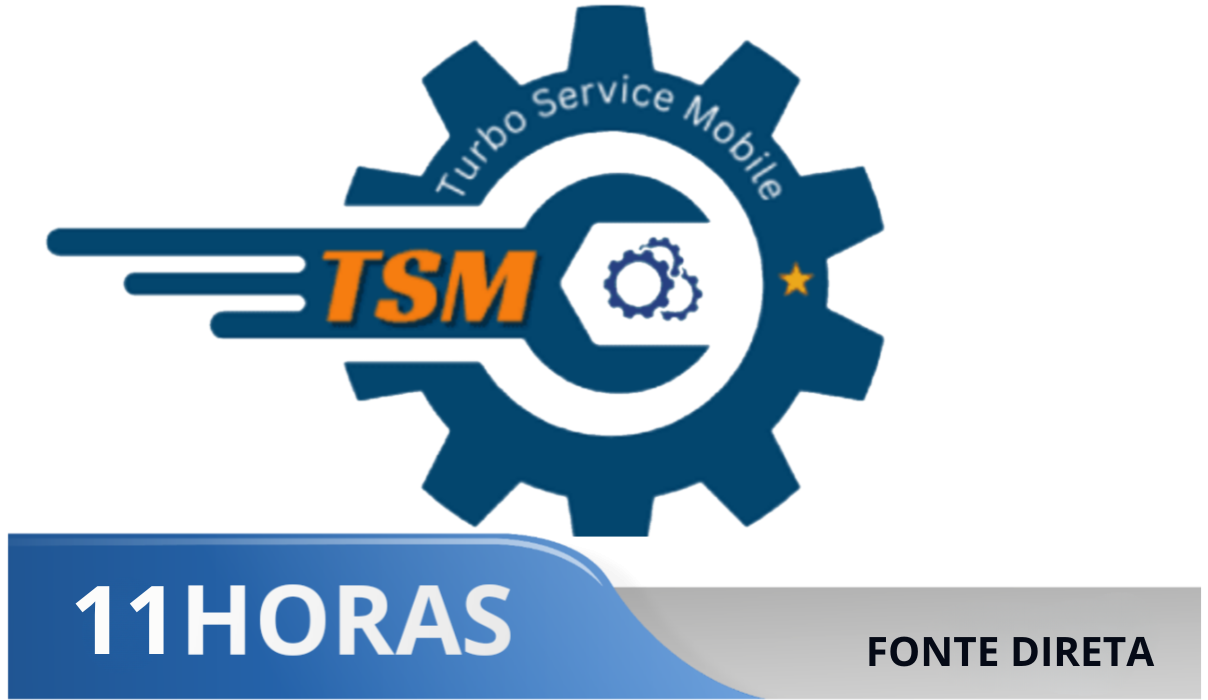 TSM TOOL Pro - Aluguel 11Hrs (Login  Senha)  Fonte Direta