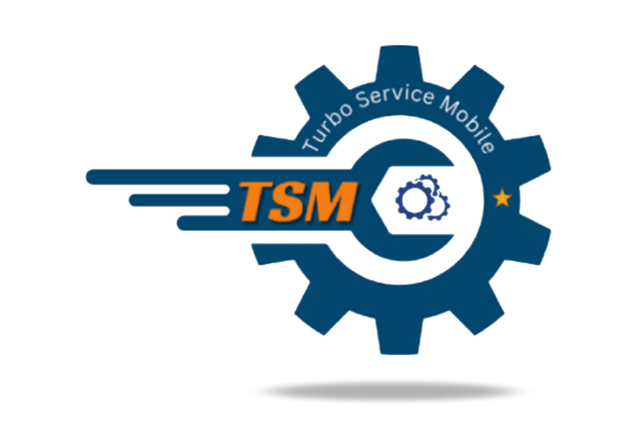 TSM-TOOL Pro - Ativação de 3 Meses