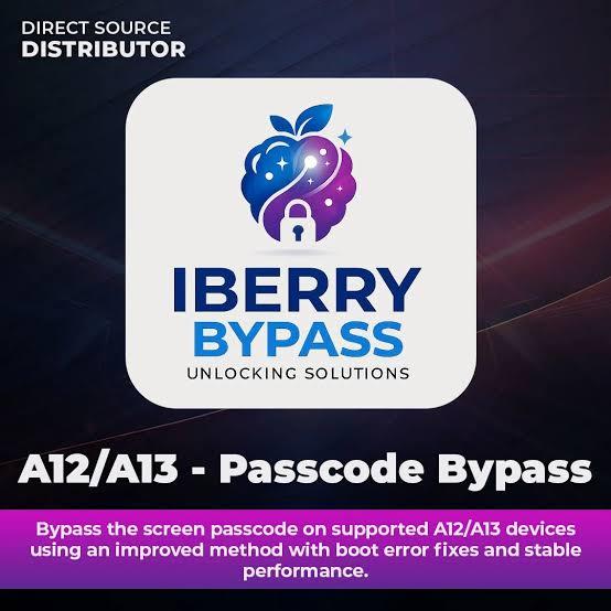 iBerry - iPad (8th Gen) Passcode Bypass Full Signal iOS17-27